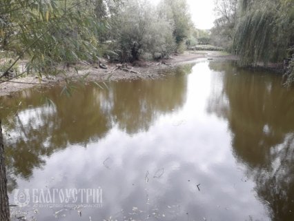 Земельный участок, Нестайка В. (Суворова)