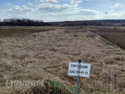 Земельна ділянка, Шевченка Земельна ділянка, Шевченка