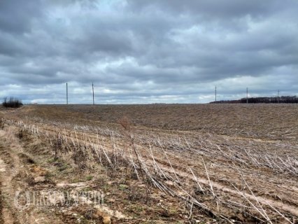 Земельна ділянка, Степова Земельна ділянка, Степова