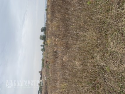 Земельна ділянка, Франка І. Земельна ділянка, Франка І.