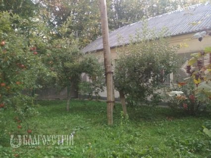 Дом, Кривоноса Дом, Кривоноса