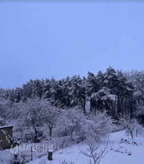 2-x квартира, Ліцейна 2-x квартира, Ліцейна