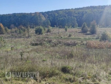 Земельна ділянка, Дачна Земельна ділянка, Дачна