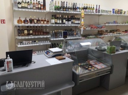 Комерційна нерухомість, Князів Коріатовичів Комерційна нерухомість, Князів Коріатовичів