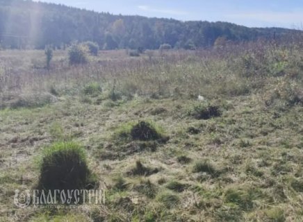 Земельна ділянка, Дачна Земельна ділянка, Дачна